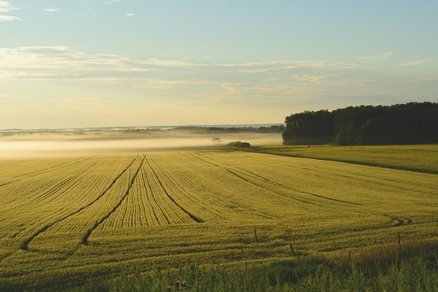 Preparing Tennessee land for sale