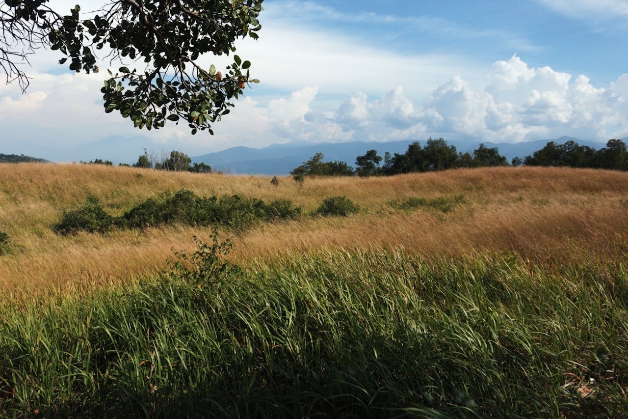 Land demand in Tennessee