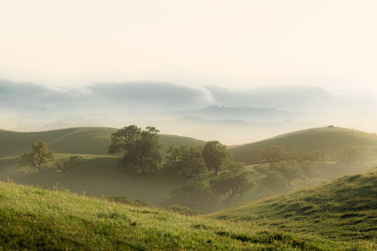 Tennessee residential land buyers